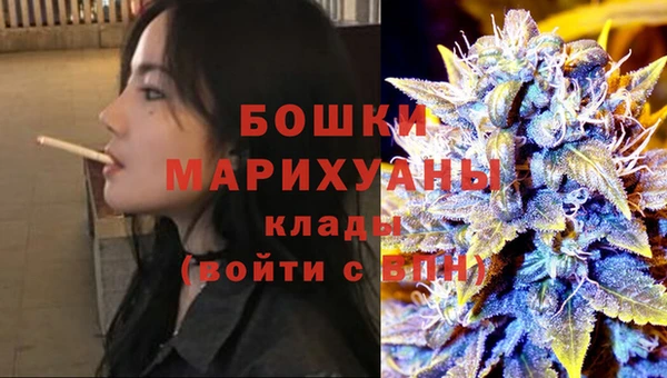 спайс Гусь-Хрустальный