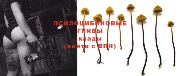 эйфоретик Гусев