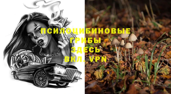 эйфоретик Гусиноозёрск