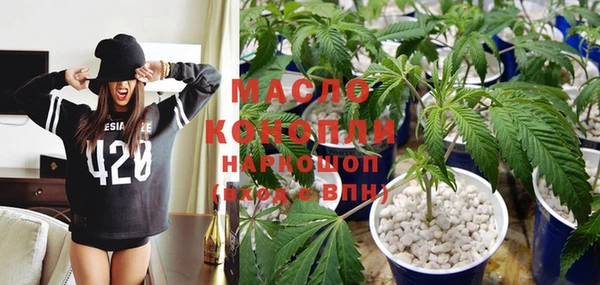 эйфоретик Гусев