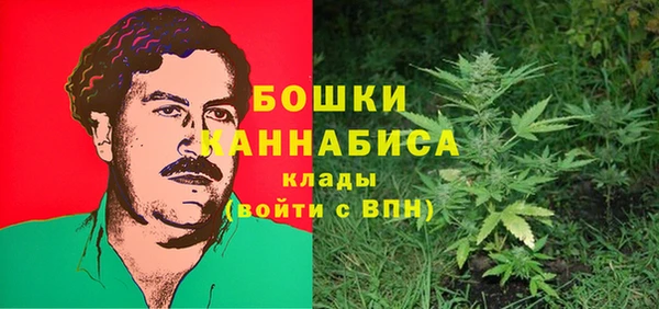 спайс Гусь-Хрустальный