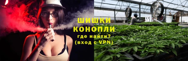 эйфоретик Гусев