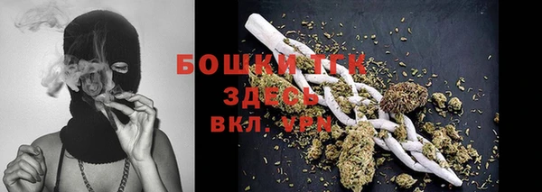 спайс Гусь-Хрустальный